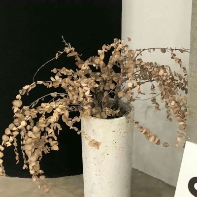 Furry插画笔刷运用兽圈社群